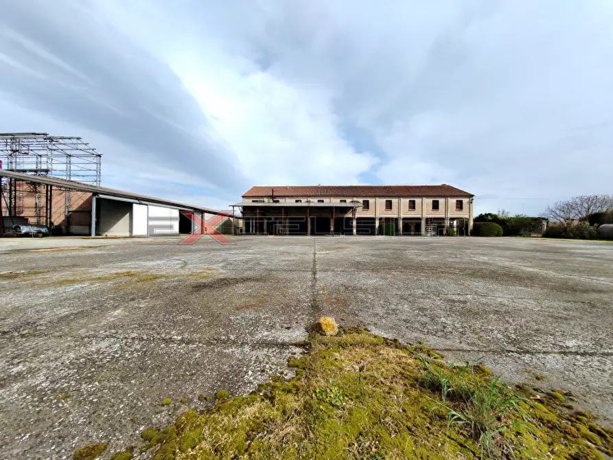 Immagine 3 di Capannone industriale in vendita  in Via G. Matteotti n.20 bis - Cavarzere (VE) a Cavarzere
