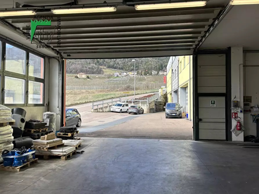 Immagine 8 di Capannone industriale in vendita  a Cles