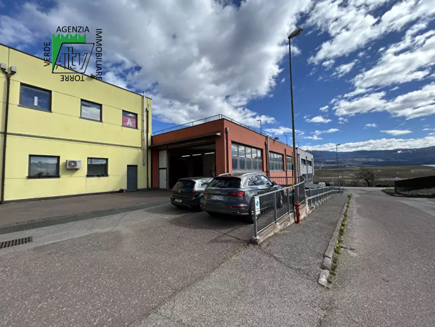 Immagine 18 di Capannone industriale in vendita  a Cles