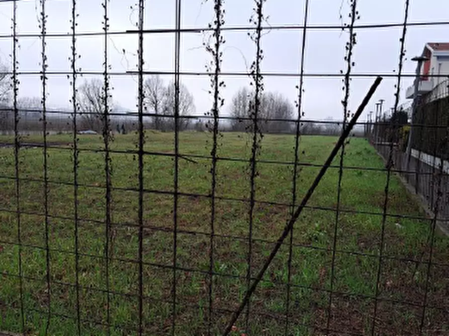 Immagine 2 di Terreno in vendita  in cazzago a Pianiga