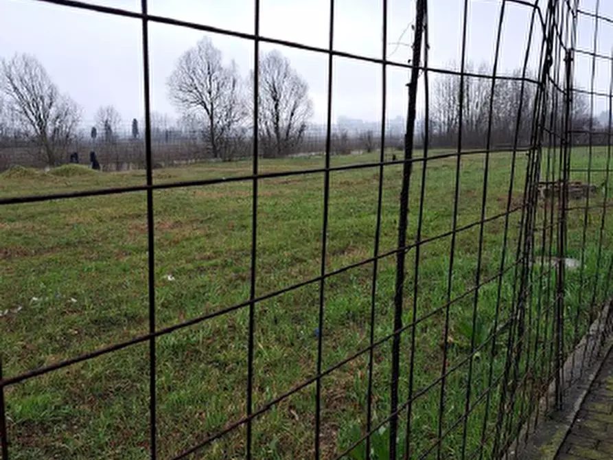 Immagine 3 di Terreno in vendita  in cazzago a Pianiga