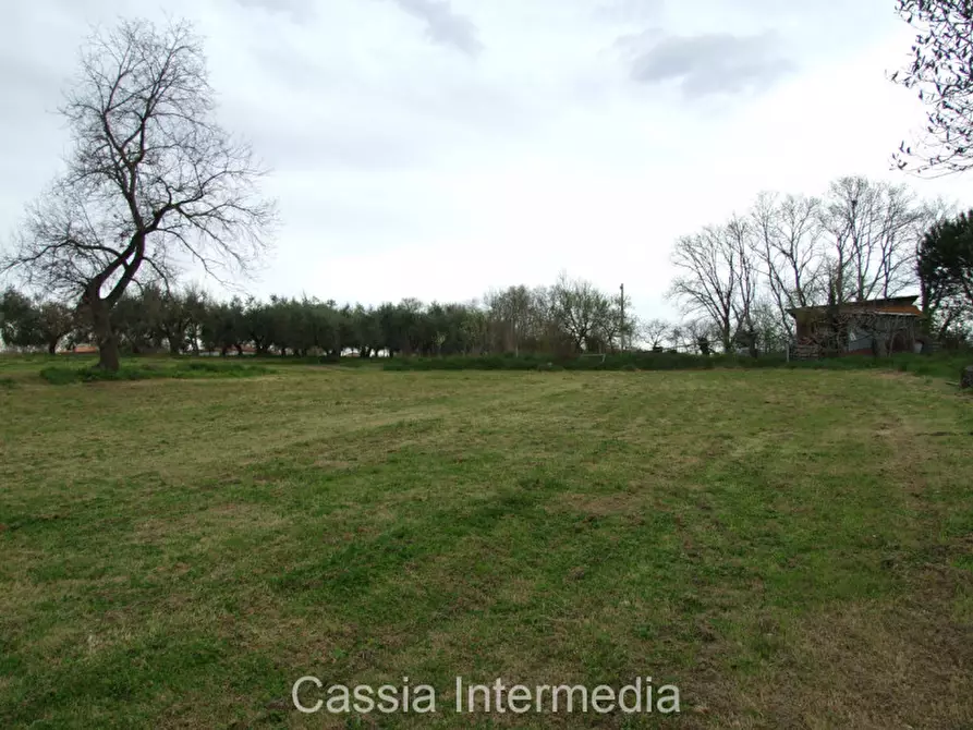 Immagine 5 di Terreno in vendita  in Via Macerata a Nepi