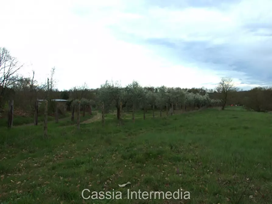 Immagine 7 di Terreno in vendita  in Via Macerata a Nepi