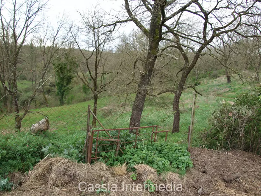 Immagine 9 di Terreno in vendita  in Via Macerata a Nepi