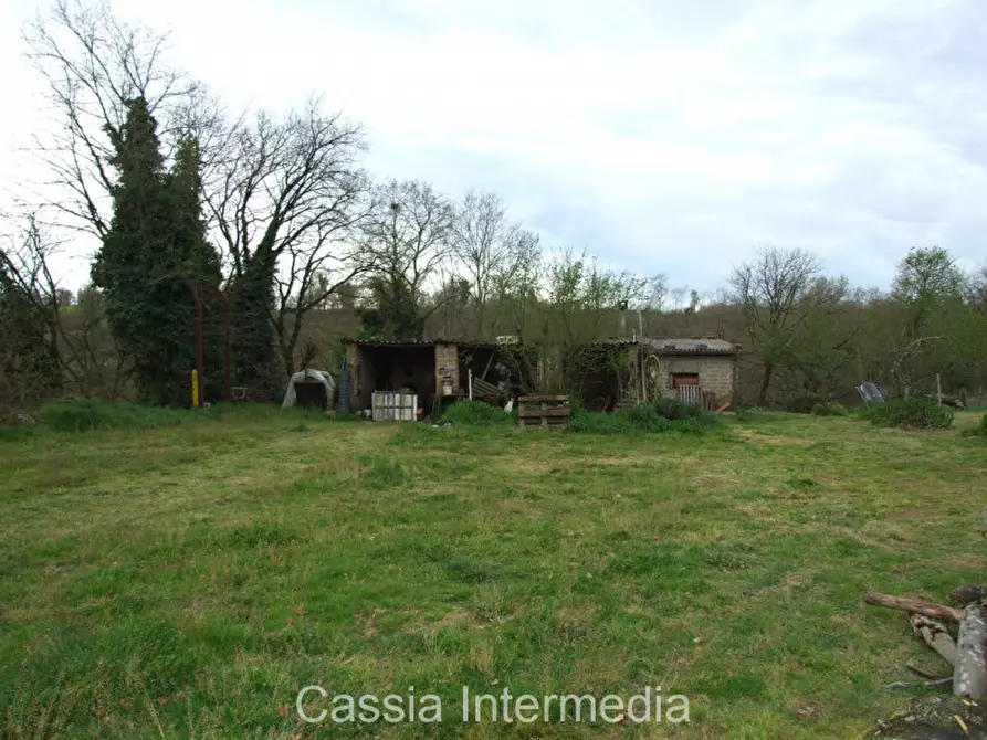 Immagine 10 di Terreno in vendita  in Via Macerata a Nepi