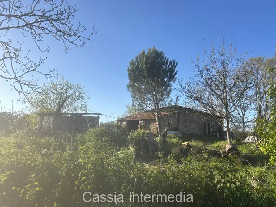 Immagine 20 di Terreno in vendita  in Via Macerata a Nepi