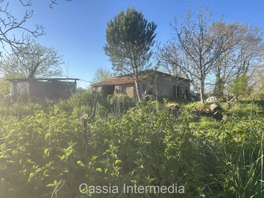 Immagine 21 di Terreno in vendita  in Via Macerata a Nepi