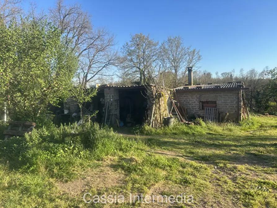 Immagine 22 di Terreno in vendita  in Via Macerata a Nepi