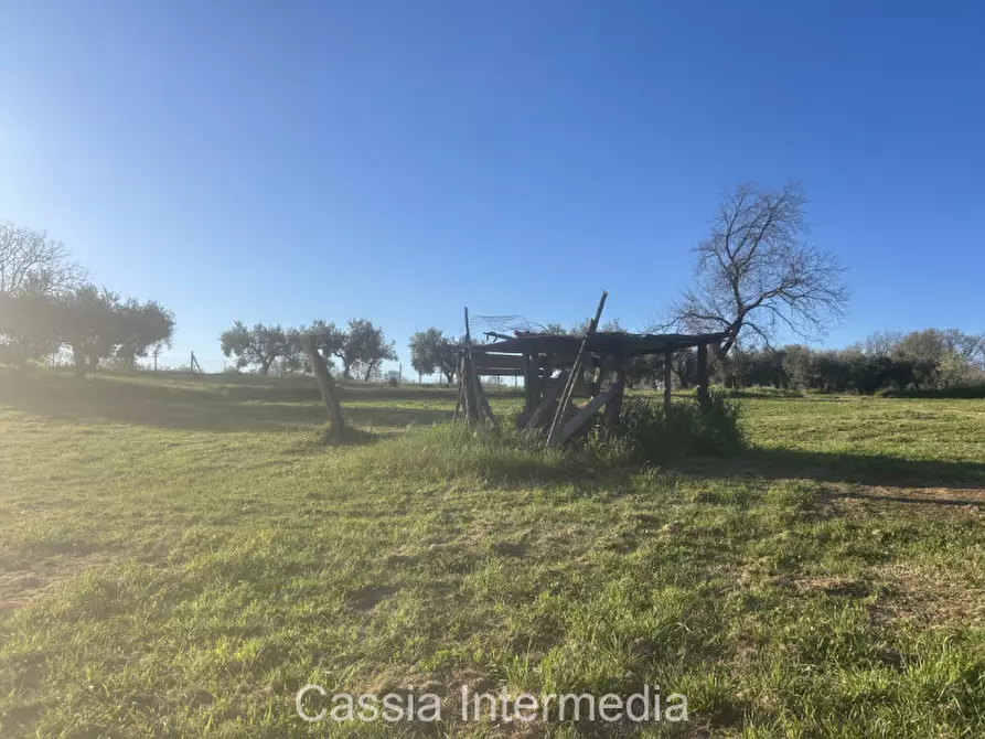 Immagine 23 di Terreno in vendita  in Via Macerata a Nepi