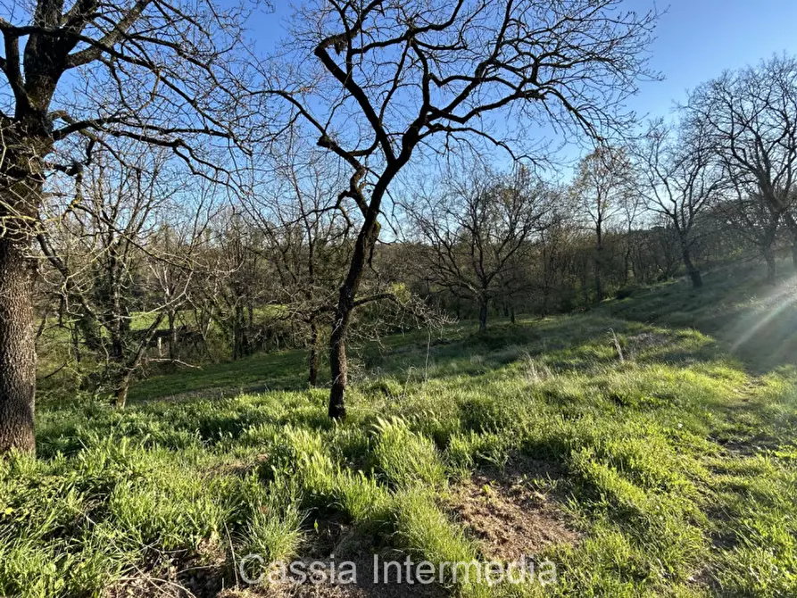 Immagine 24 di Terreno in vendita  in Via Macerata a Nepi