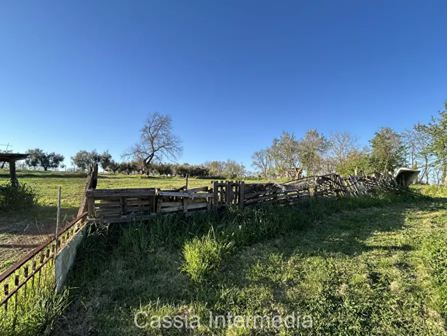 Immagine 25 di Terreno in vendita  in Via Macerata a Nepi