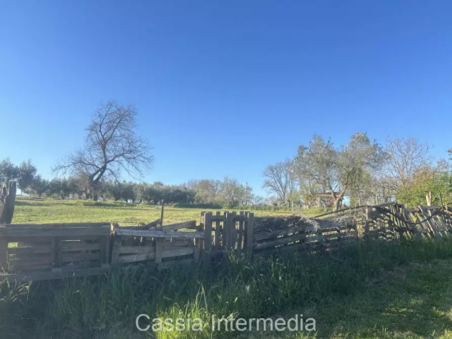 Immagine 26 di Terreno in vendita  in Via Macerata a Nepi