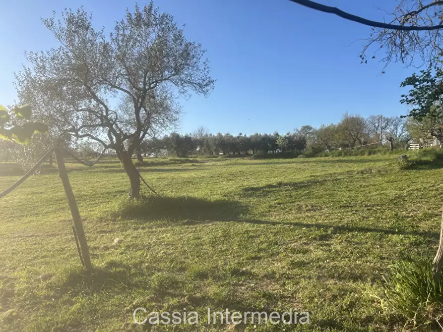 Immagine 28 di Terreno in vendita  in Via Macerata a Nepi