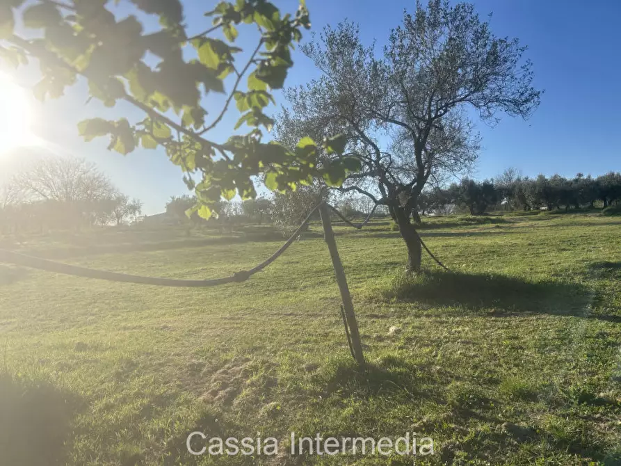 Immagine 29 di Terreno in vendita  in Via Macerata a Nepi