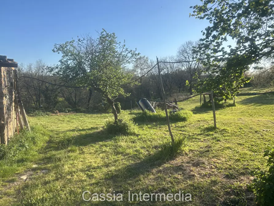 Immagine 30 di Terreno in vendita  in Via Macerata a Nepi