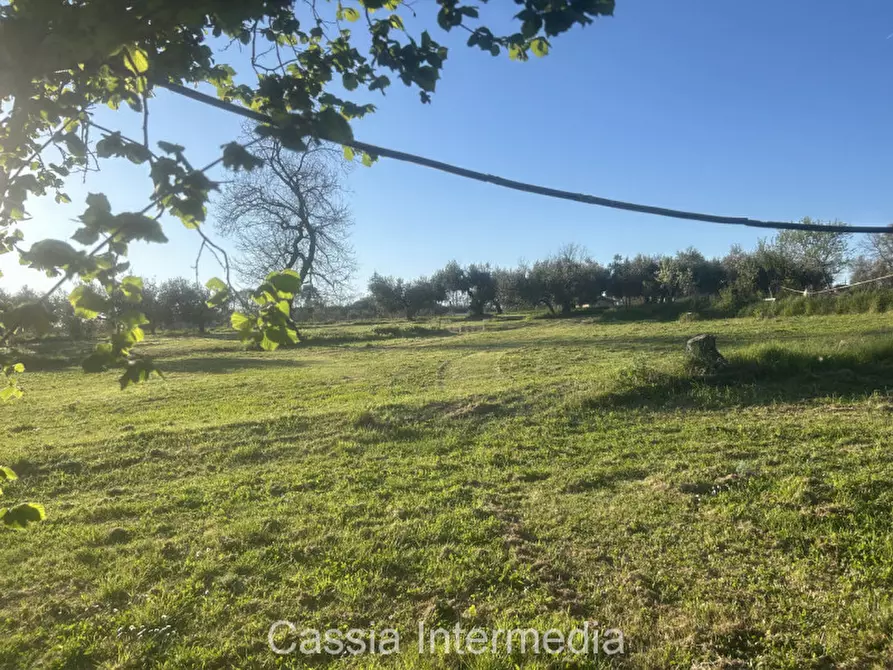 Immagine 32 di Terreno in vendita  in Via Macerata a Nepi