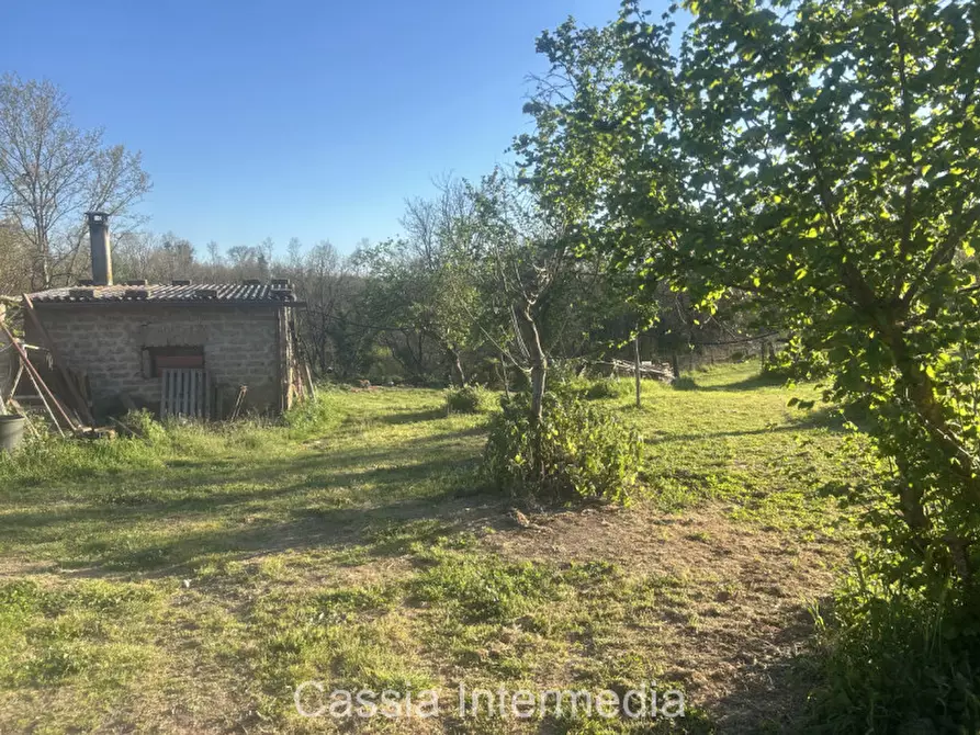 Immagine 37 di Terreno in vendita  in Via Macerata a Nepi