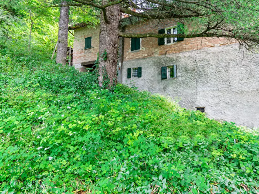 Immagine 16 di Rustico / casale in vendita  in RASIGLIO a Sasso Marconi