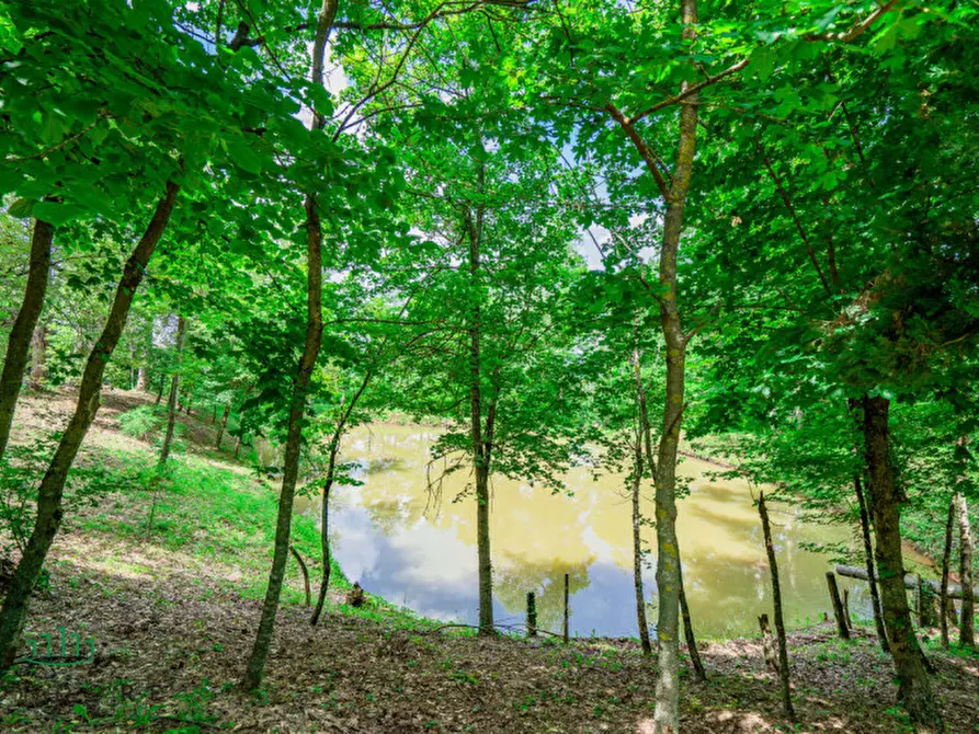 Immagine 64 di Rustico / casale in vendita  in RASIGLIO a Sasso Marconi
