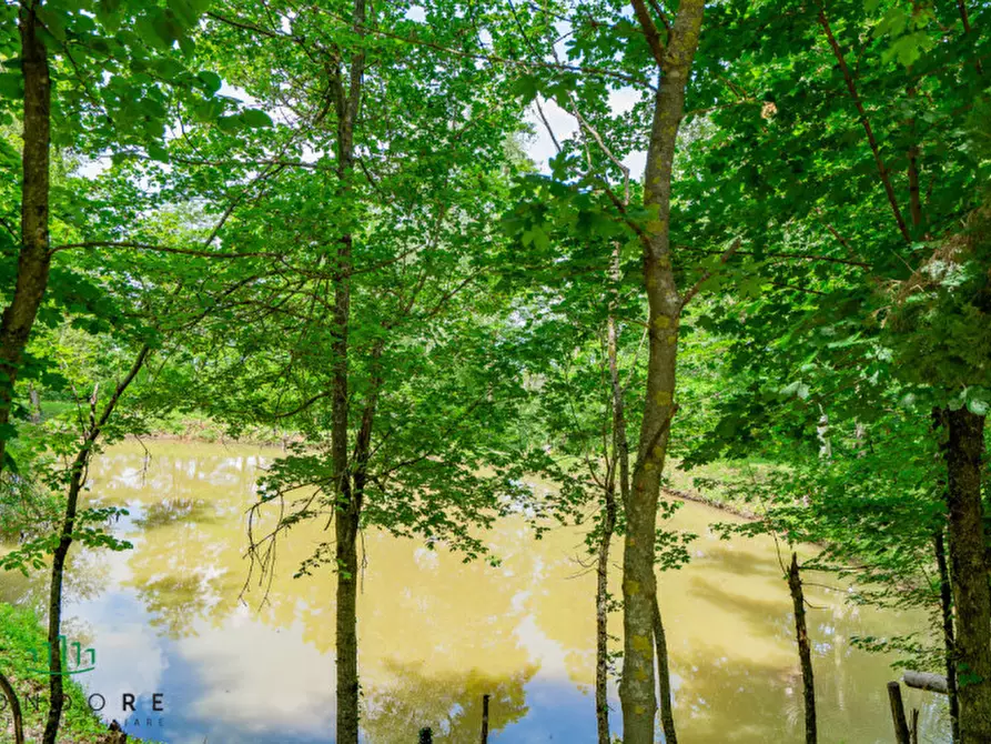 Immagine 65 di Rustico / casale in vendita  in RASIGLIO a Sasso Marconi