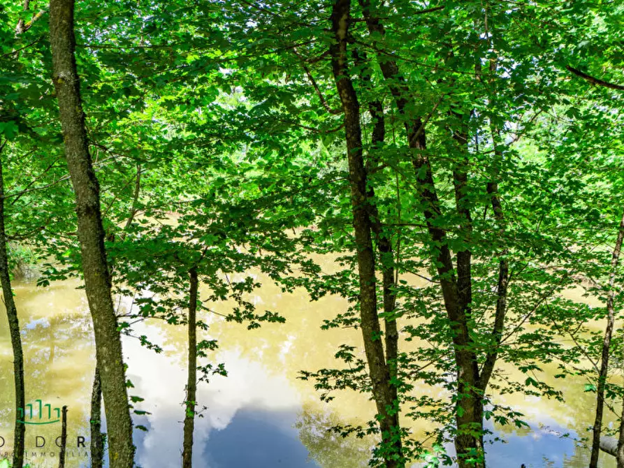 Immagine 67 di Rustico / casale in vendita  in RASIGLIO a Sasso Marconi