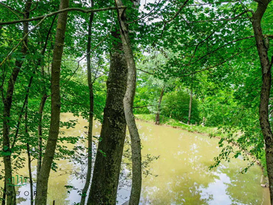Immagine 69 di Rustico / casale in vendita  in RASIGLIO a Sasso Marconi