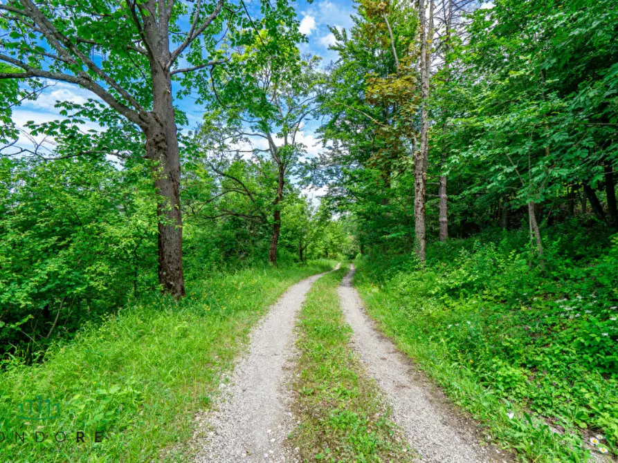 Immagine 70 di Rustico / casale in vendita  in RASIGLIO a Sasso Marconi