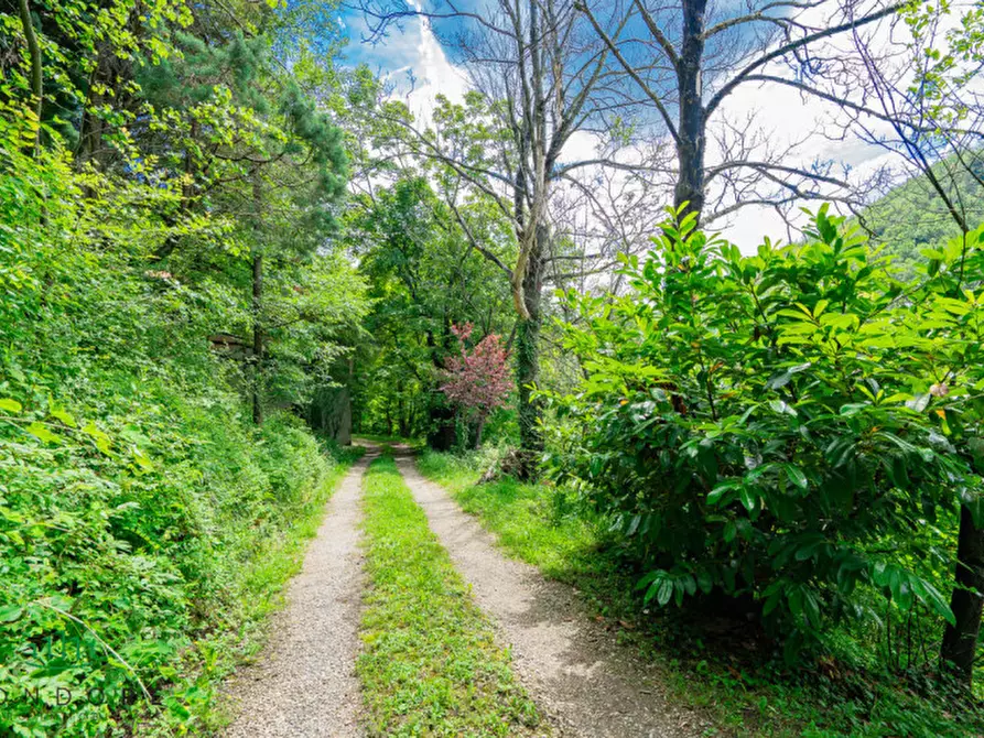 Immagine 73 di Rustico / casale in vendita  in RASIGLIO a Sasso Marconi