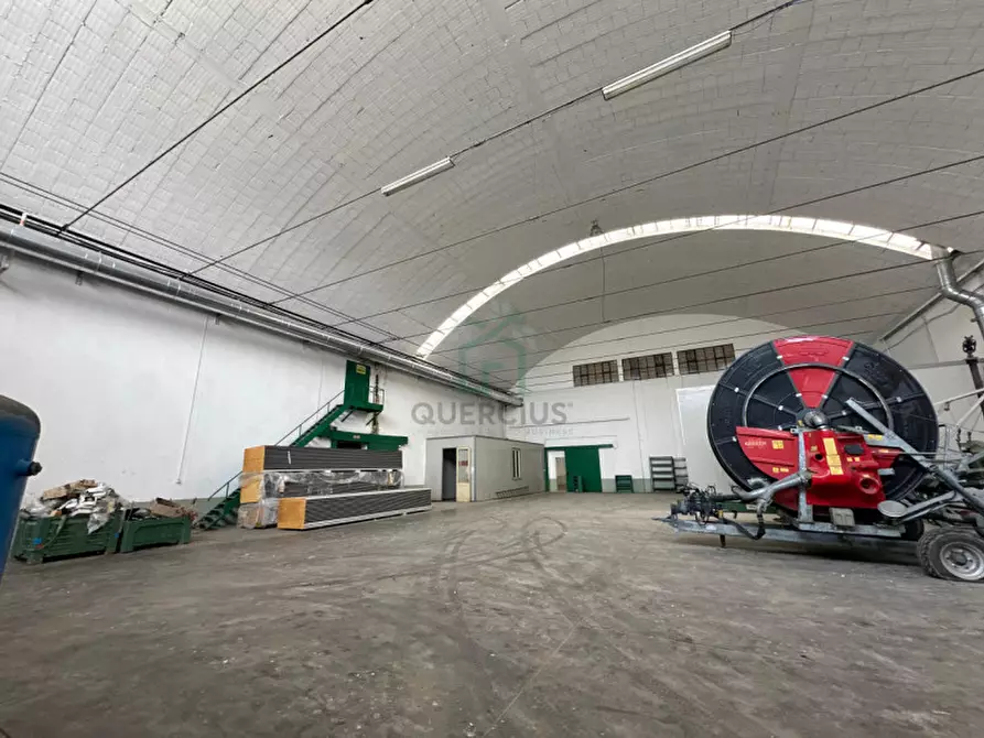 Immagine 2 di Capannone industriale in affitto  in Via Mosche a Legnago