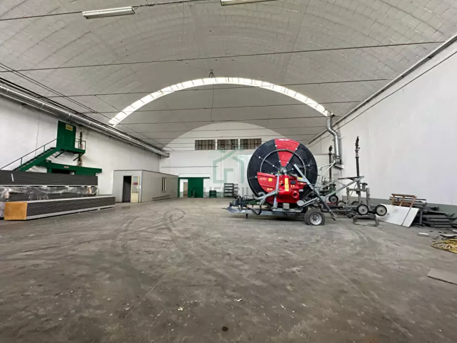 Immagine 4 di Capannone industriale in affitto  in Via Mosche a Legnago