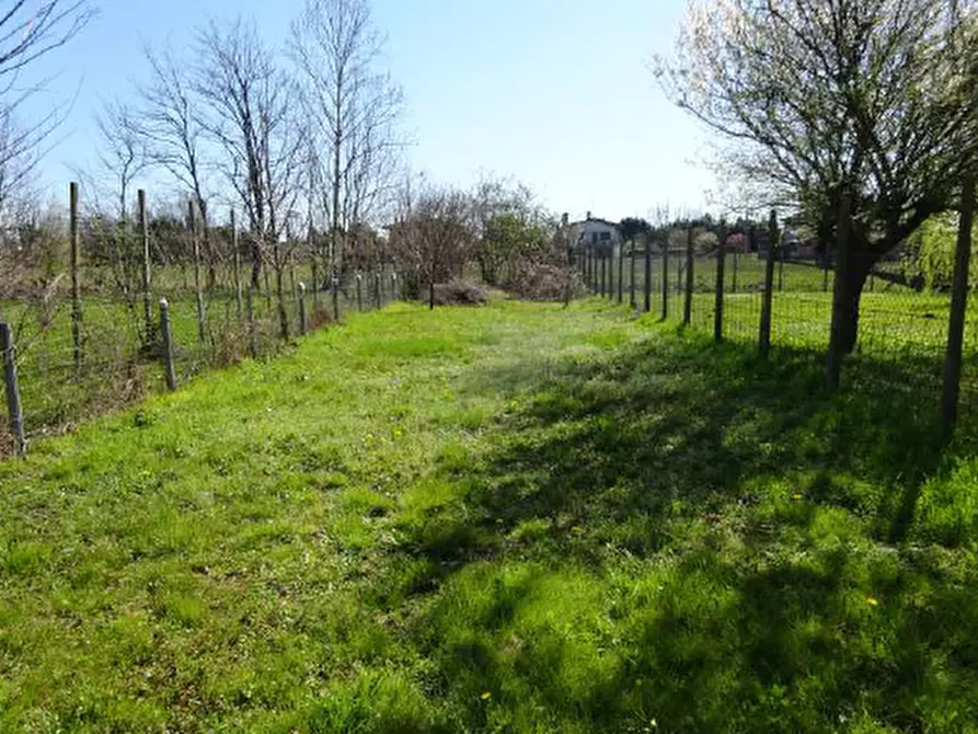Immagine 3 di Casa indipendente in vendita  in Via Masut, 10 a Santo Stino Di Livenza