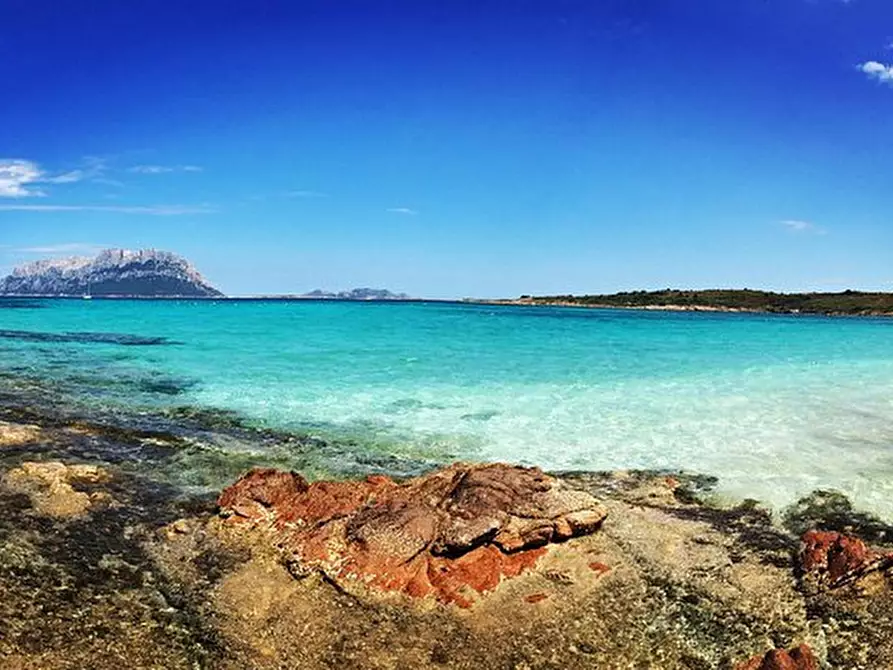 Immagine 9 di Terreno in vendita  in Via Bulgaria 7 a Olbia