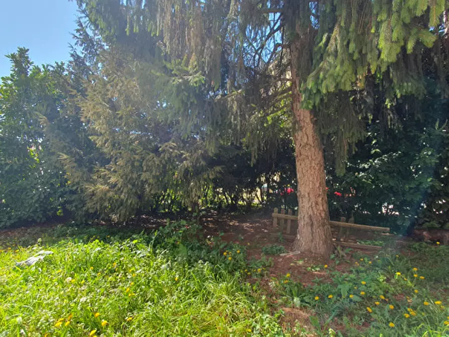 Immagine 33 di Appartamento in vendita  in Via Volturno a Mirandola