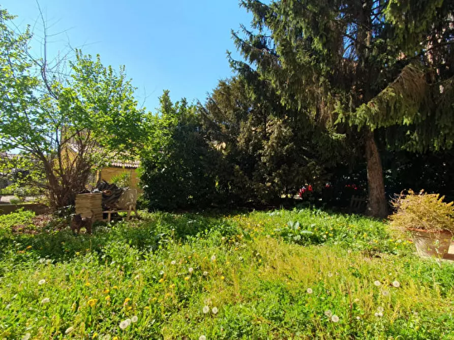 Immagine 34 di Appartamento in vendita  in Via Volturno a Mirandola