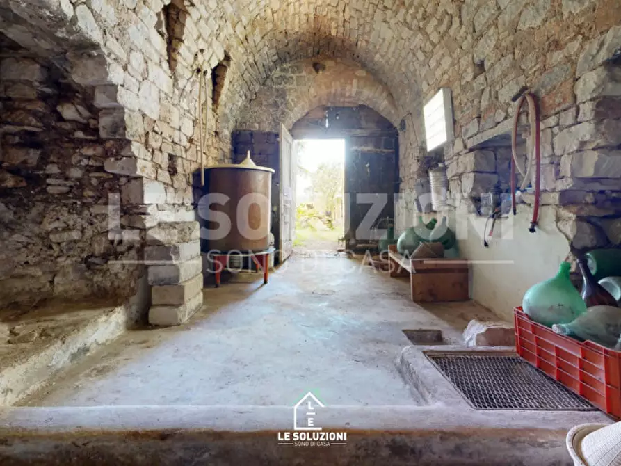 Immagine 22 di Casa trifamiliare in vendita  in strada comunale regio 30 a Castellana Grotte