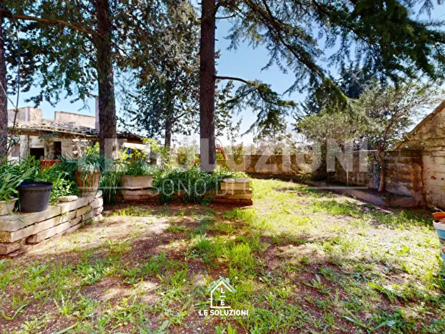 Immagine 35 di Casa trifamiliare in vendita  in strada comunale regio 30 a Castellana Grotte