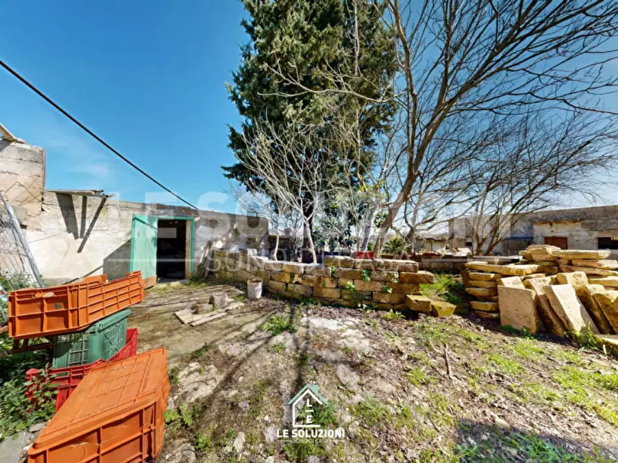 Immagine 42 di Casa trifamiliare in vendita  in strada comunale regio 30 a Castellana Grotte