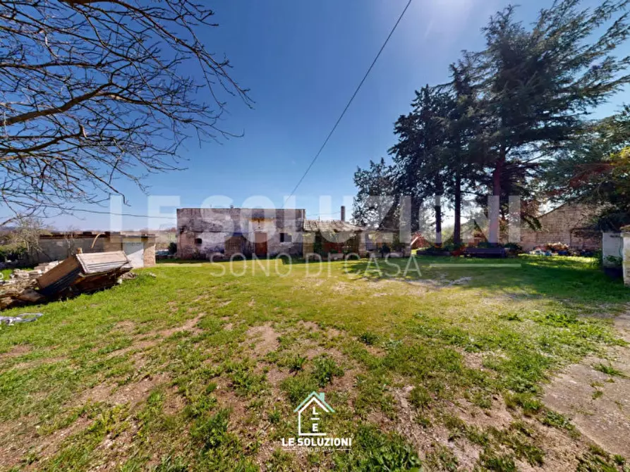 Immagine 43 di Casa trifamiliare in vendita  in strada comunale regio 30 a Castellana Grotte