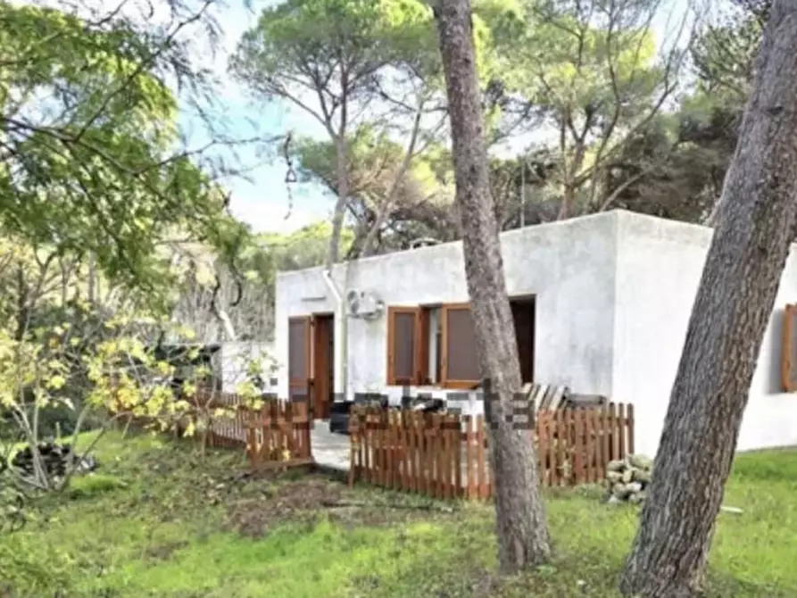 Immagine 4 di Villa in vendita  in San Cataldo a Vernole