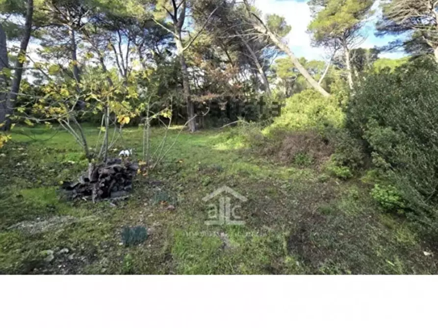 Immagine 28 di Villa in vendita  in San Cataldo a Vernole