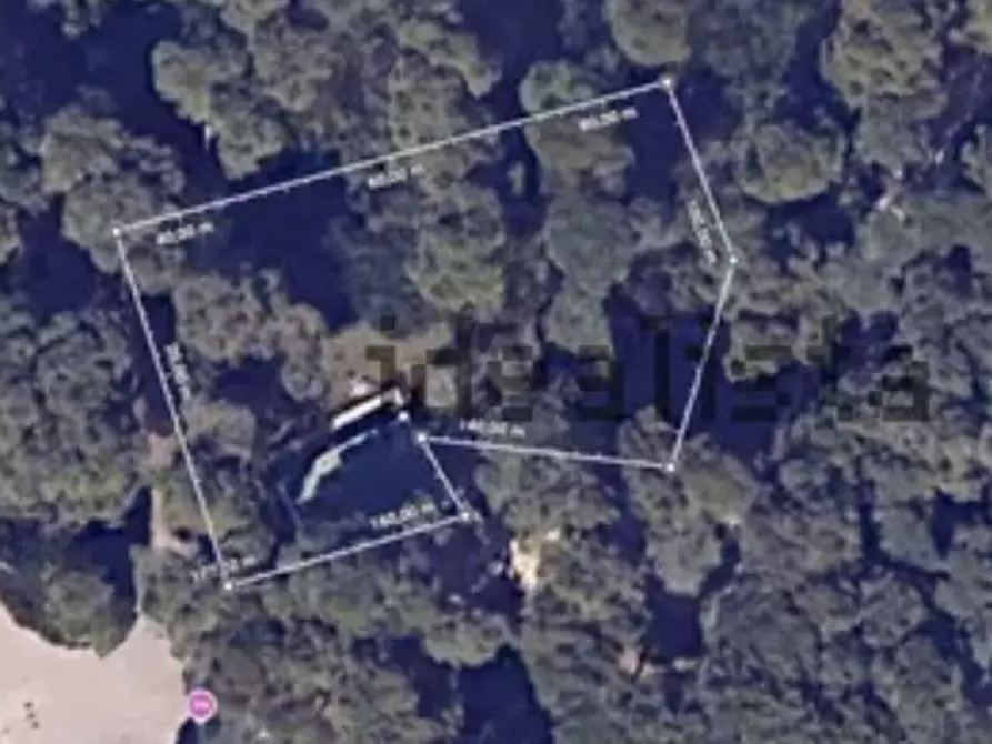 Immagine 29 di Villa in vendita  in San Cataldo a Vernole