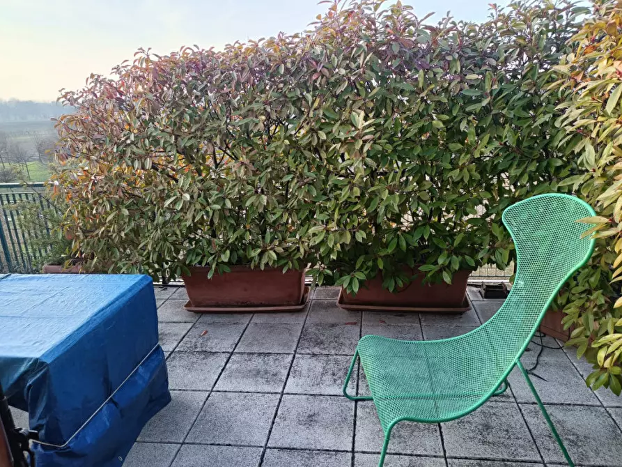 Immagine 11 di Appartamento in vendita  in Via Biagio Marin a Vigodarzere