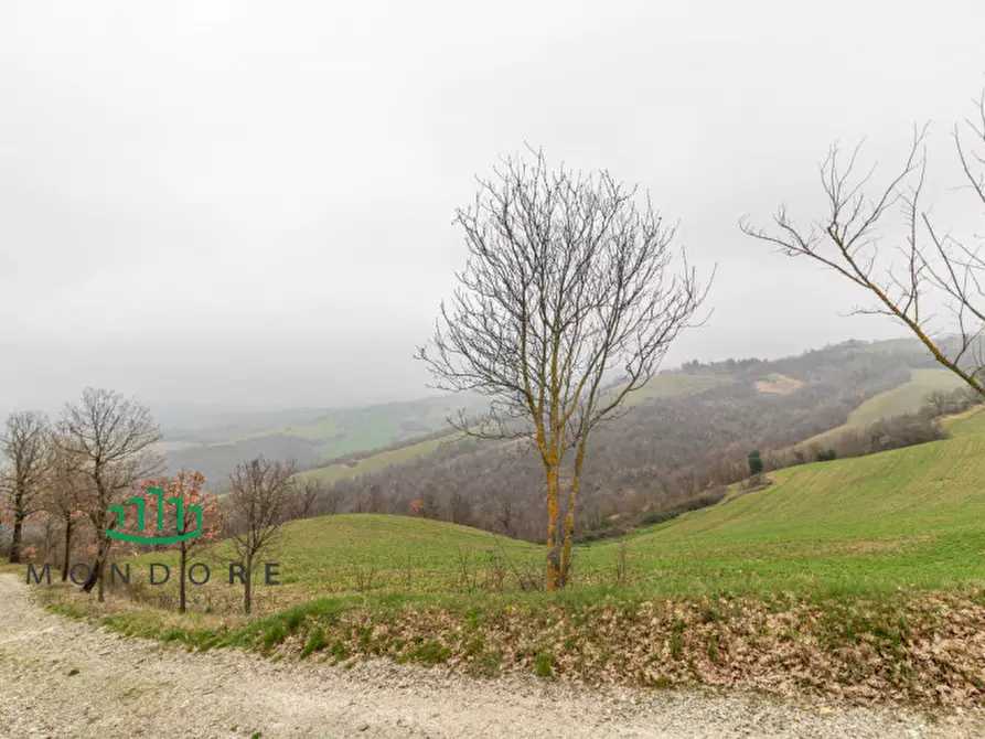 Immagine 2 di Villa in vendita  in Via Nazionale a Pianoro