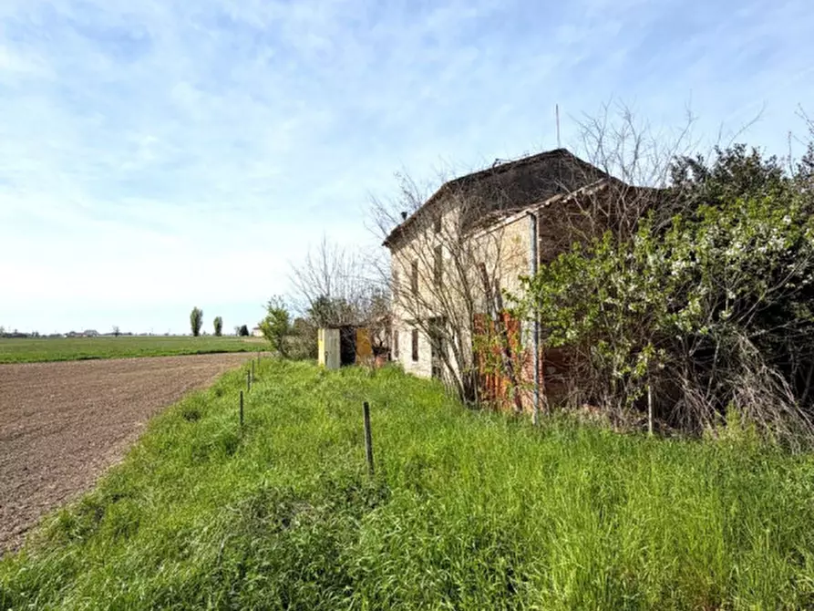 Immagine 5 di Rustico / casale in vendita  in Via Mazzalupi a Concordia Sulla Secchia