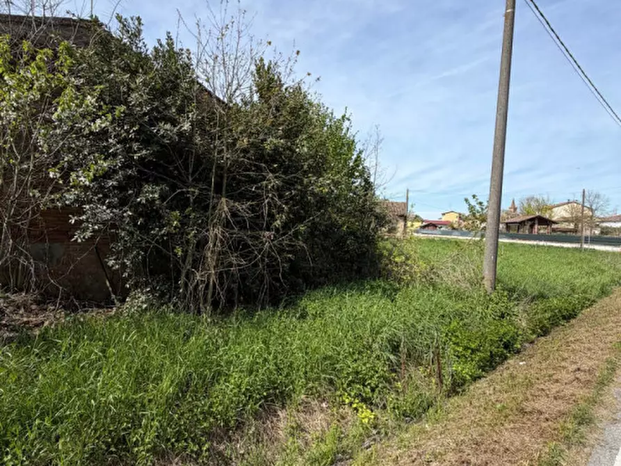 Immagine 18 di Rustico / casale in vendita  in Via Mazzalupi a Concordia Sulla Secchia