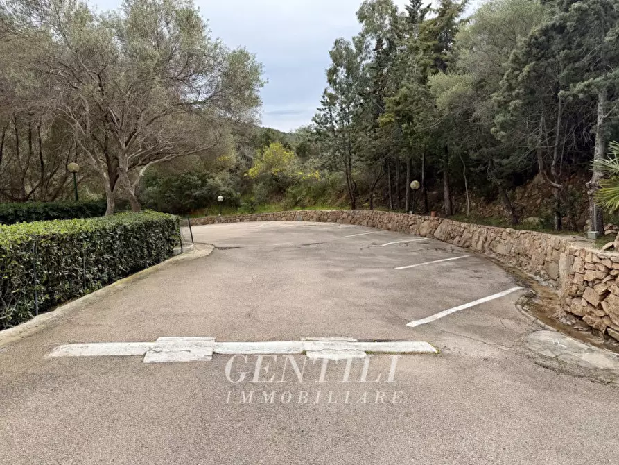 Immagine 30 di Appartamento in vendita  a Arzachena
