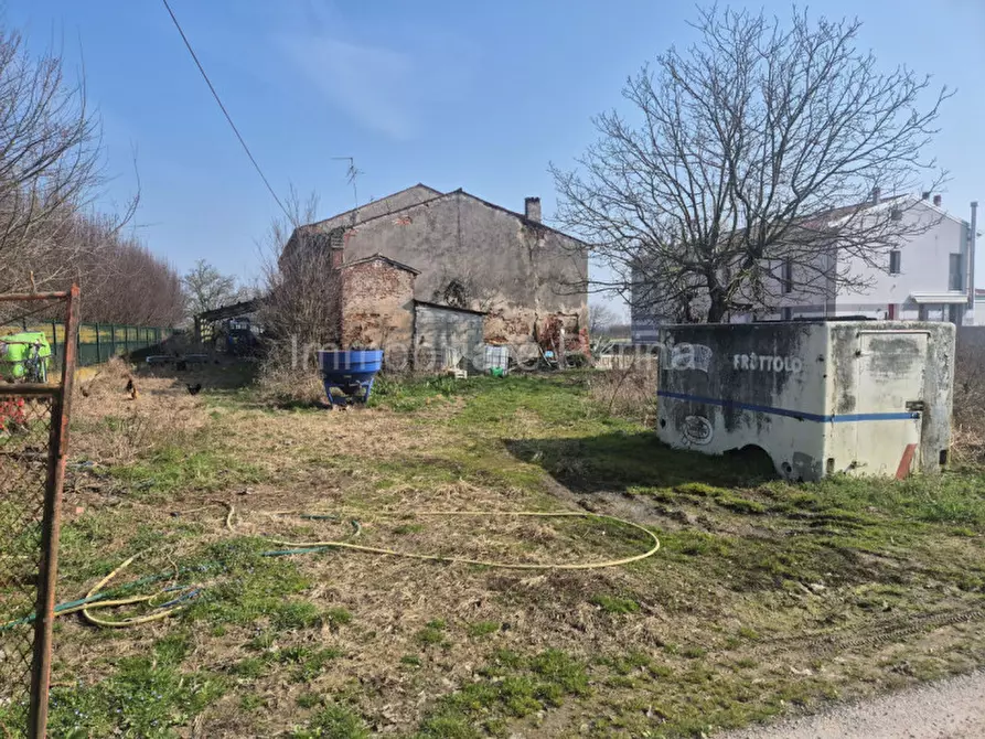 Immagine 6 di Rustico / casale in vendita  in Via Cortina a Erbé
