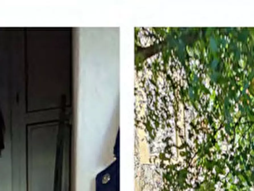 Immagine 11 di Casa indipendente in vendita  in VIA MARCONI, N 3 - 15070 CASSINELLE (AL) a Cassinelle