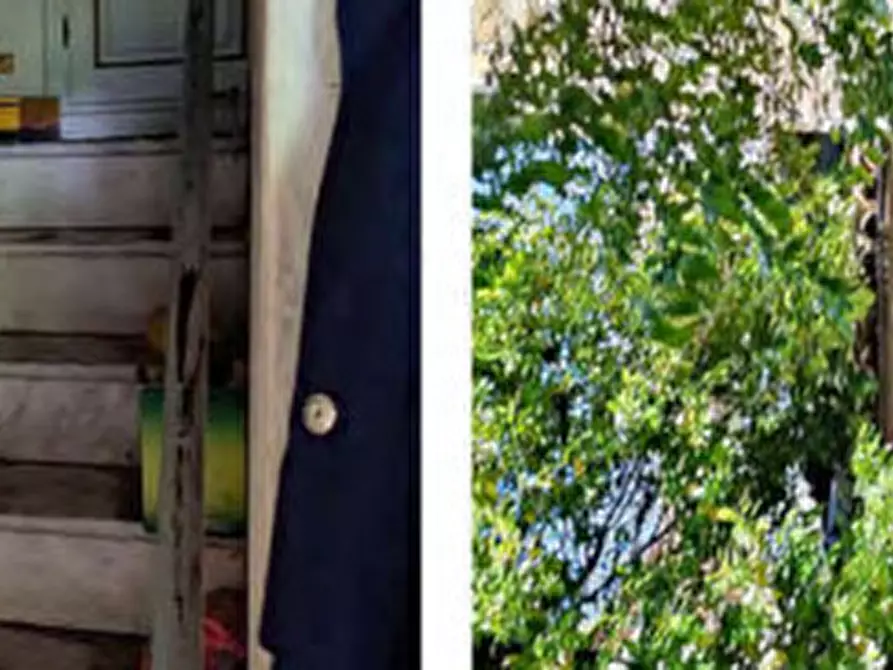 Immagine 12 di Casa indipendente in vendita  in VIA MARCONI, N 3 - 15070 CASSINELLE (AL) a Cassinelle