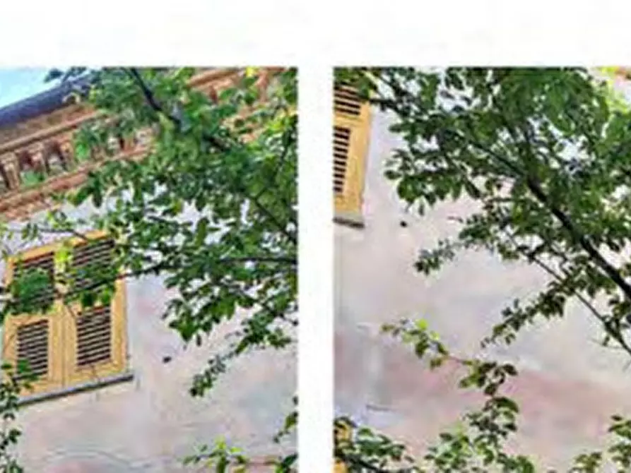 Immagine 16 di Casa indipendente in vendita  in VIA MARCONI, N 3 - 15070 CASSINELLE (AL) a Cassinelle